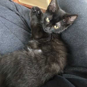 Meet your Posher, Angie